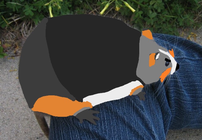 A foxbot sitting on a person's leg.